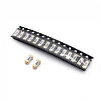 High Quality 6215 Series SMD Fuse Brick Surface Mount Fuse 125V 250V 300V